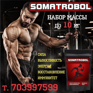 Спортивное питание: Гейнеры протеины и др . Саматрабол новая специаная разработка для — 10