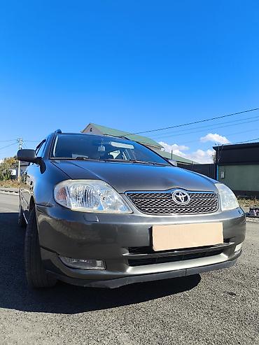 Toyota: Toyota Corolla: 2004 г., 1.6 л, Механика, Бензин, Универсал — 5