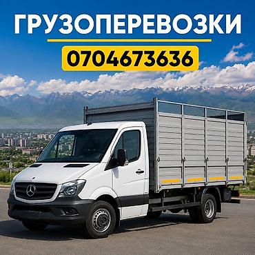фриго: Грузоперевозки Грузоперевозки Грузоперевозки Грузоперевозки — 1