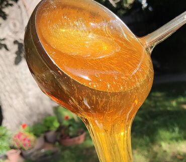 сотовый мёд: Продам горный мёд этого года. Пасека пчеловодство пчелы
