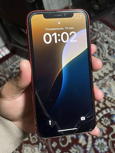 Apple iPhone: IPhone Xr, 64 ГБ, Красный — 1