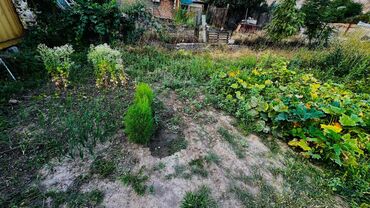 Продажа домов: Дача, 69 м², 5 комнат, Собственник, Старый ремонт — 20