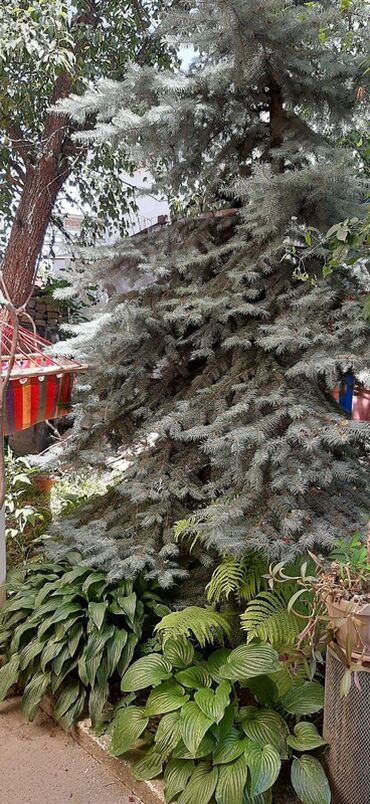 Продажа домов: Дом, 105 м², 4 комнаты, Собственник — 11