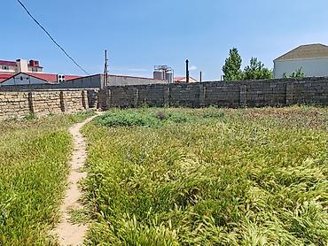 torpaq məhəmmədli: 7 sot, Kənd təsərrüfatı, Mülkiyyətçi, Kupça (Çıxarış) — 3