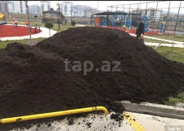 Ağaclar: Hər vaxtınız xeyir olsun dəyərli müştərilərimiz. Bizə vaxt ayırdığınız — 6