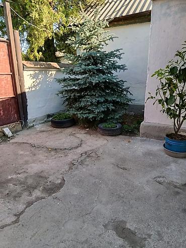 Продажа коттеджей и домов: Продам дом! г.Кемин (Быстровка) 70 кв.м. 9 соток. Есть гараж, сарай at lalafo.kg — 12 Продажа коттеджей и домов: Продам дом! г.Кемин (Быстровка) 70 кв.м. 9 соток. Есть гараж, сарай — 12