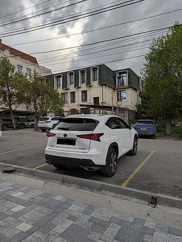 лехус нх 300: Lexus NX: 2019 г., 2 л, Автомат, Бензин, Кроссовер — 4
