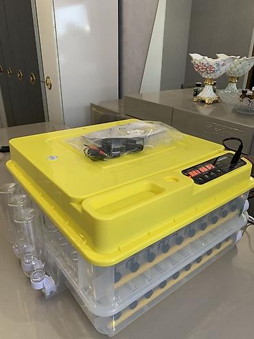 inkubator satışı: Rusiya, Tam avtomat — 1