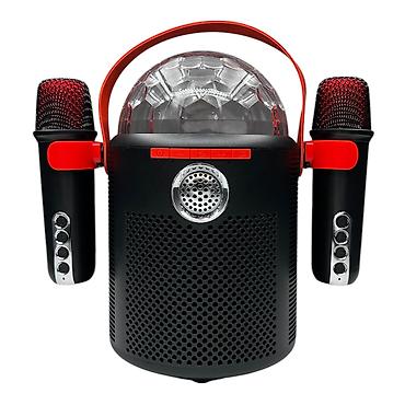 ddj flx4: 🎤 Микрофонная система ALPOWL для караоке — твоя вечеринка начинается — 5