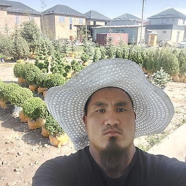 Капельный полив: Система полива. Система автополива. Сеем газон. Газон и автополива — 8