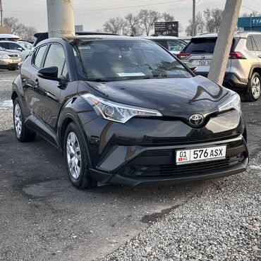 Toyota: Toyota C-HR: 2019 г., 2 л, Вариатор, Бензин, Кроссовер