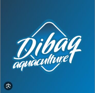 тор рыба: Корм DIBAQ SOLUTION CC предназначен для использования при выращивании