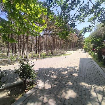 İcarəyə restoran və kafelər: Obyekt icareye verilir Xirdalan seheri Heyder Əliyev prospektinde — 5