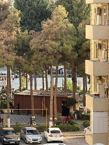 bineqedide ucuz evler: 2 otaqlı, Yeni tikili, 60 kv. m — 6