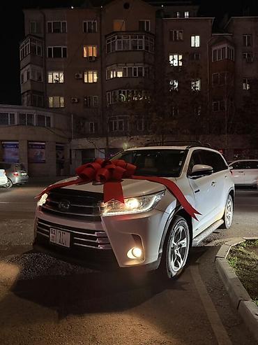 Декоративные ленты и банты: Большой декоративный бант для автомобиля - Яркий красный цвет — 20