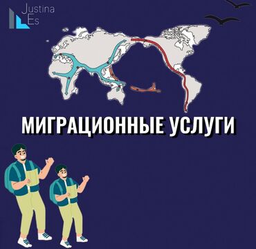 Юридические услуги: Юридические услуги | Налоговое право, Гражданское право, Административное право | Аутсорсинг, Консультация