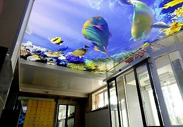 баня кател: Натяжной потолок Матовое, Глянцевое, 3D потолки Гарантия, Демонтаж, Бесплатный замер — 9