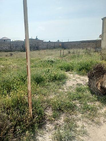 bagi: 6 sot, Tikinti, Mülkiyyətçi, Kupça (Çıxarış) — 7