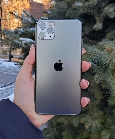 Apple iPhone: IPhone 11 Pro Max, Б/у, 256 ГБ, Midnight, Чехол, 87 %