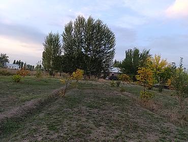 Продажа участков: 6 соток, Для строительства, Красная книга, Договор купли-продажи — 11