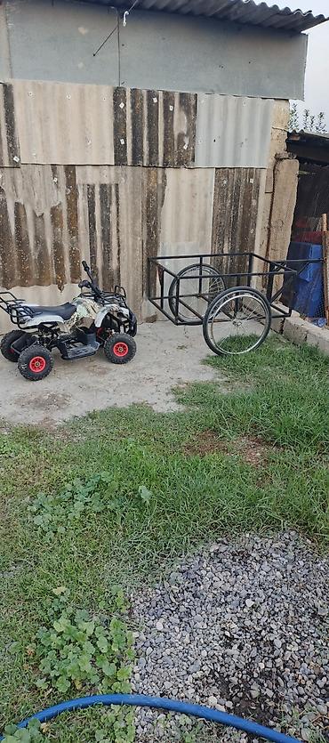 ucuz usaq oyuncaqlari: Elektrik uşaq kvadrosikl və qoşqu - Növ: elektrikli uşaq ATV (4 — 4