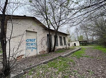 полтавка: Срочно! Продаю! Полтавка!Центральная улица 13 соток — 3