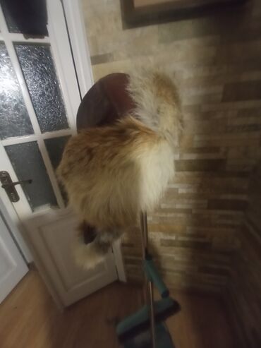 Шапки: Шапка, Ушанка, Натуральная кожа, Зима, С помпоном — 1