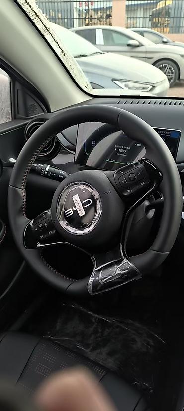 BYD: BYD E2: 2025 г., 3 л, Робот, Электромобиль, Седан — 13