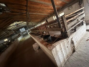 Продажа домов: Времянка, 400 м², 2 комнаты, Собственник — 3