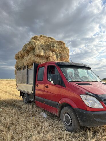 бусик машина: Mercedes-Benz Sprinter: 2007 г., 2.2 л, Дизель, Бус