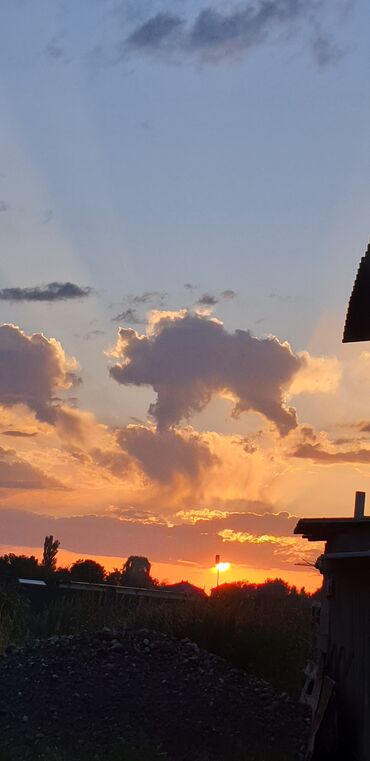 Натяжной потолок: Натяжной потолок Матовое, 3D потолки, Глянцевое — 23