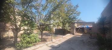 Torpaq sahələrinin satışı: 8 sot, Tikinti, Kupça (Çıxarış) — 8