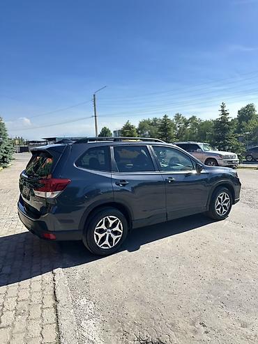 Subaru: Subaru Forester: 2019 г., Вариатор, Бензин, Кроссовер — 11