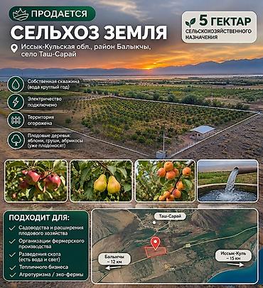 продаю дом с пригородное: 500 соток — 1