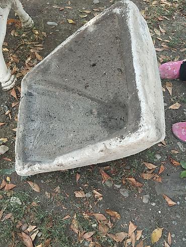 Təbii qara sudaşı lalafo.az -da Təbii qara sudaşı