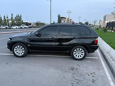 BMW: BMW X5: 2004 г., 3 л, Автомат, Дизель, Внедорожник — 4