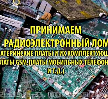 реле ссср: Скупка радиодеталей, плат и приборов. Ищем к покупке: - печатные — 6