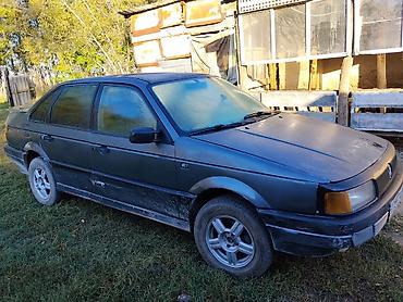кпп на пассат б3: Volkswagen Passat: 1988 г., 1.8 л, Кол менен иштөөчү, Бензин, Седан — 4