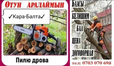 Другие товары для дома: Пилю дрова электрическая пила. Отун Аралаймын