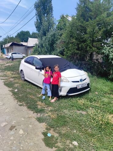 corolla runx: Toyota Prius: 2012 г., 1.6 л, Автомат, Бензин