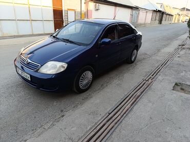 таёта королла: Toyota Corolla: 2005 г., 1.6 л, Механика, Газ, Седан