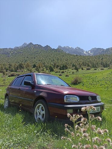 Volkswagen: Volkswagen Golf: 1993 г., 1.8 л, Механика, Бензин, Седан