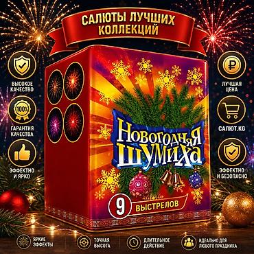 plaud note: 🎇 САЛЮТ.KG — официальный поставщик пиротехники в Кыргызстане с 2015 — 1