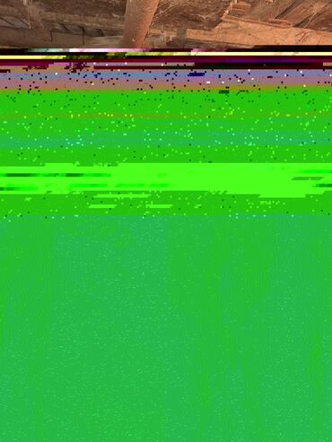 Inəklər, öküzlər: 3 de qisir iney 4850 ze deyirem kom satilir tekliyende qiymet ferqli — 7