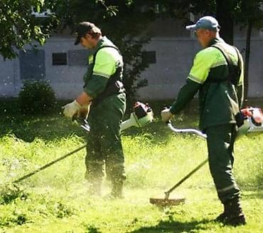 тв шкаф: Стрижка изгороди профессионально
Стрижка дикой травы и газона — 8