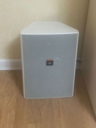 GPS naviqatorlar: JBL subvufer – ağ korpus, ön hissədə metal mesh qəfəs və mərkəzdə