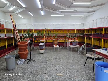 аренда помещения ак ордо: Ибраимова Рядом с рынком комфорт Сдается помещение под любой бизнес