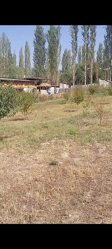 Продажа участков: 30 соток — 8