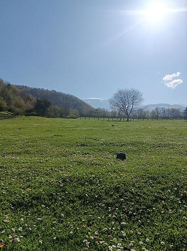 yeni emlak xirdalan: 30 sot, Tikinti, Maklerlər narahat etməsin, Kupça (Çıxarış) — 3