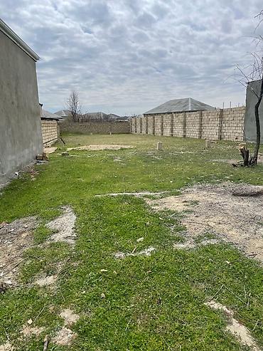 neftcalada ev satisi: 11 sot, Tikinti, Bələdiyyə — 5
